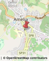 Animali Domestici - Toeletta Amelia,05022Terni
