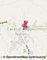 Distribuzione Gas Auto - Servizio Poggio Nativo,02030Rieti