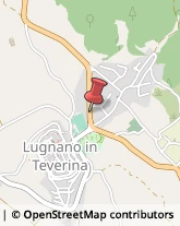 Demolizioni e Scavi Lugnano in Teverina,05020Terni