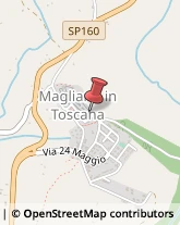 Impianti Idraulici e Termoidraulici Magliano in Toscana,58051Grosseto