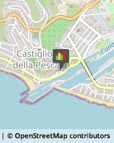 Caccia e Pesca Articoli - Dettaglio,58043Grosseto