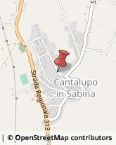 Banche e Istituti di Credito Cantalupo in Sabina,02040Rieti