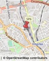 Fisiokinesiterapia - Medici Specialisti Viterbo,01100Viterbo