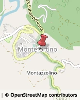 Acciai Comuni Montefortino,63858Fermo