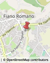 Cambia Valute Fiano Romano,00065Roma