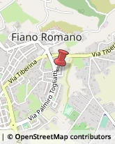 Bevande Analcoliche Fiano Romano,00065Roma