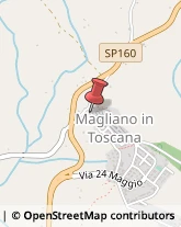 Aziende Agricole Magliano in Toscana,58051Grosseto