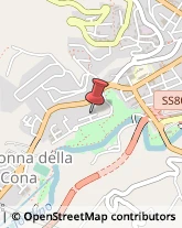 Palestre e Centri Fitness,64100Teramo