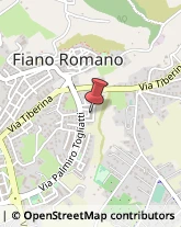 Poste Fiano Romano,00065Roma
