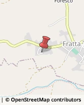 Autotrasporti Fratta Todina,06054Perugia