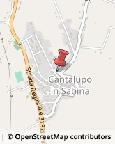 Autotrasporti Cantalupo in Sabina,02040Rieti