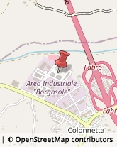 Aziende Agricole Fabro,05015Terni