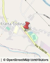 Ottica, Occhiali e Lenti a Contatto - Dettaglio Fratta Todina,06054Perugia