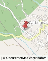Autotrasporti Carbognano,01030Viterbo