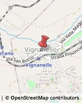 Commercialisti Vignanello,01039Viterbo