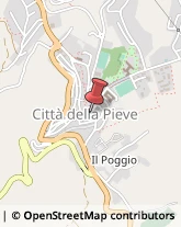 Pelletterie - Dettaglio Città della Pieve,06062Perugia