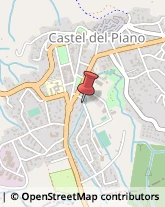 Elettricisti Castel del Piano,58033Grosseto