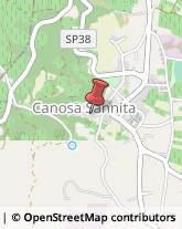 Imprese di Pulizia Canosa Sannita,66010Chieti