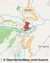 Poste Tossicia,64049Teramo