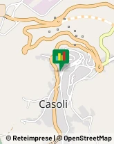 Stazioni di Servizio e Distribuzione Carburanti Casoli,66043Chieti