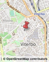 Erboristerie Viterbo,01100Viterbo