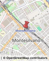 Amministrazioni Immobiliari Montesilvano,65015Pescara