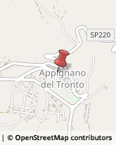 Associazioni di Volontariato e di Solidarietà Appignano del Tronto,63083Ascoli Piceno