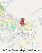 Istituti Finanziari Piancastagnaio,53025Siena