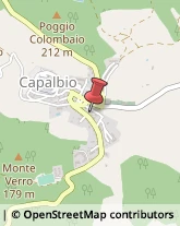 Serramenti ed Infissi, Portoni, Cancelli Capalbio,58011Grosseto