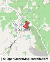 Società di Telecomunicazioni Montopoli di Sabina,02034Rieti