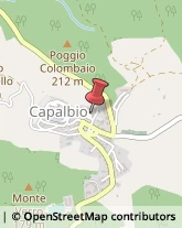 Macellerie Capalbio,58011Grosseto