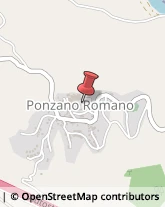 Aziende Agricole Ponzano Romano,00060Roma