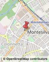 Amministrazioni Immobiliari Montesilvano,65015Pescara