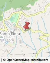 Bed e Breakfast Santa Fiora,58037Grosseto