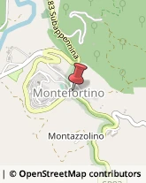 Tabaccherie Montefortino,63858Fermo
