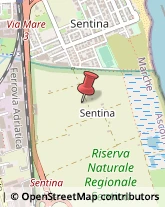 Aziende Agricole San Benedetto del Tronto,63074Ascoli Piceno