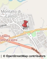 Autolinee Montalto di Castro,01014Viterbo