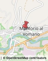 Vivai Piante e Fiori Montorio al Vomano,64046Teramo