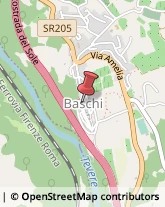 Comuni e Servizi Comunali Baschi,05023Terni
