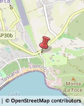 Sport - Scuole,57034Livorno