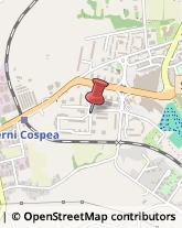 Agenti e Rappresentanti di Commercio,05100Terni