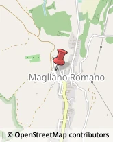 Scuole Materne Private Magliano Romano,00060Roma