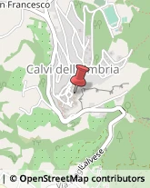 Comuni e Servizi Comunali Calvi dell'Umbria,05032Terni