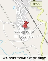 Formaggi e Latticini - Dettaglio Castiglione in Teverina,01024Viterbo