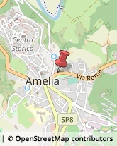 Avvocati Amelia,05022Terni