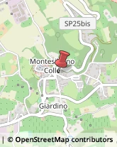 Scuole Pubbliche Montesilvano,65015Pescara