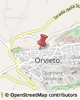 Società di Telecomunicazioni Orvieto,05018Terni