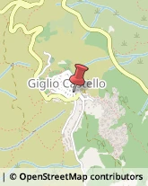 Comuni e Servizi Comunali Isola del Giglio,58012Grosseto