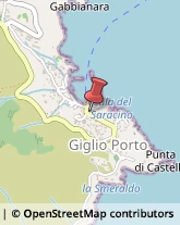 Ragionieri e Periti Commerciali - Studi Isola del Giglio,58012Grosseto