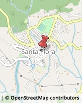 Alimentari Santa Fiora,58037Grosseto